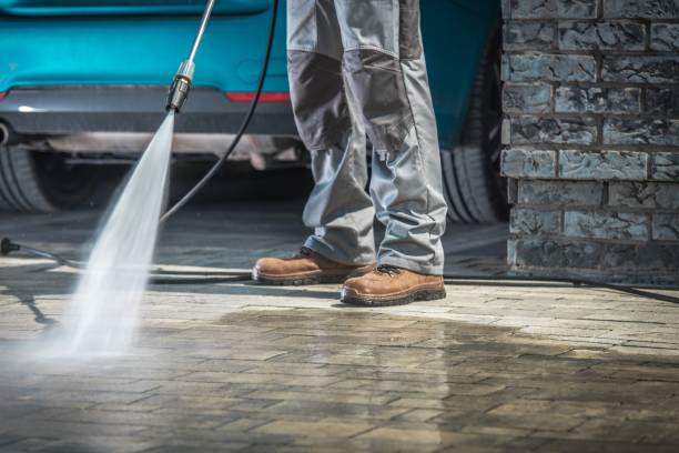 Best Oil Spill Cleanup  in Elmwood Park, NJ