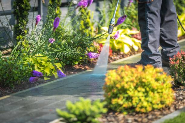 Reliable Elmwood Park, NJ Pressure Washing Services Solutions