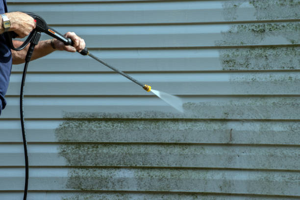 Best Driveway Pressure Washing  in Elmwood Park, NJ